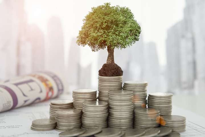 Igor Mazepa about his investment projects in Ukrainian assets