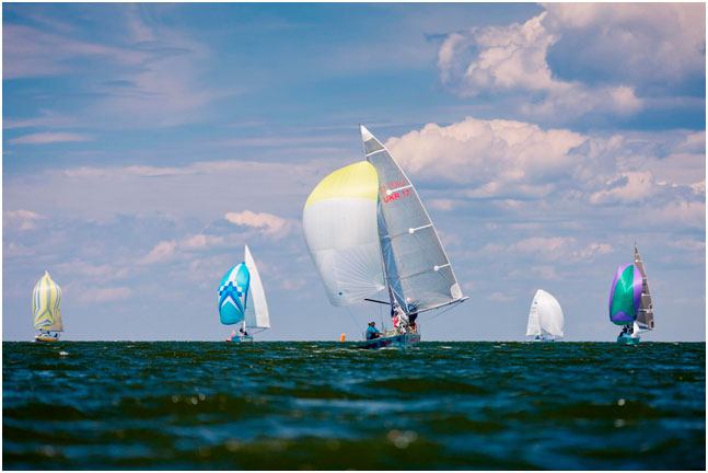 Igor Mazepa: Yacht regatta. 2016 