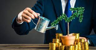 Igor Mazepa: Where to invest in 2022